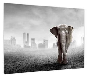 Obraz - Słonie w wielkim mieście, wersja czarno - biała (70x50 cm)