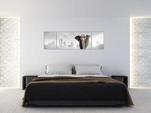 Obraz - Słonie w wielkim mieście, wersja czarno - biała (170x50 cm)