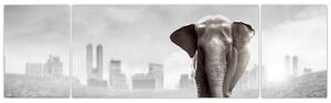 Obraz - Słonie w wielkim mieście, wersja czarno - biała (170x50 cm)