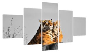 Obraz - Tygrysica i jej młode, wersja czarno - biała (125x70 cm)