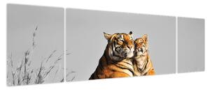Obraz - Tygrysica i jej młode, wersja czarno - biała (170x50 cm)