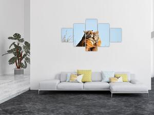 Obraz - Tygrysica i jej młode (125x70 cm)