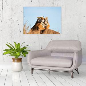 Obraz - Tygrysica i jej młode (70x50 cm)