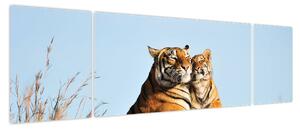 Obraz - Tygrysica i jej młode (170x50 cm)