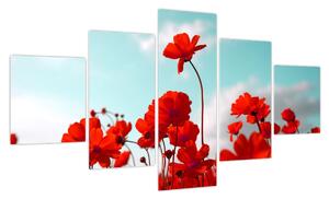 Obraz pola z jasnoczerwonymi kwiatami (125x70 cm)
