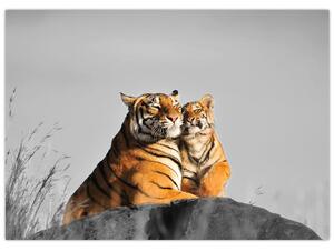 Obraz - Tygrysica i jej młode, wersja czarno - biała (70x50 cm)