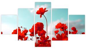 Obraz pola z jasnoczerwonymi kwiatami (125x70 cm)