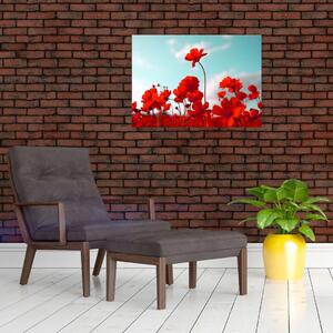 Obraz pola z jasnoczerwonymi kwiatami (70x50 cm)
