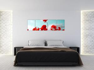 Obraz pola z jasnoczerwonymi kwiatami (170x50 cm)