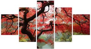 Obraz czerwonego klonu japońskiego, Portland, Oregon (125x70 cm)
