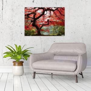 Obraz czerwonego klonu japońskiego, Portland, Oregon (70x50 cm)