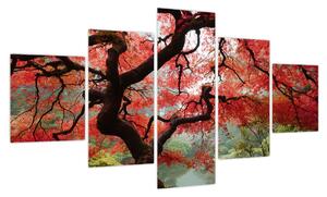 Obraz czerwonego klonu japońskiego, Portland, Oregon (125x70 cm)
