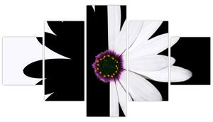 Obraz czarno - białego kwiatu (125x70 cm)