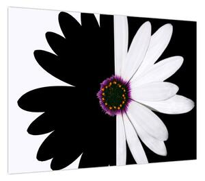 Obraz czarno - białego kwiatu (70x50 cm)