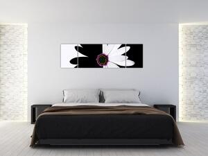 Obraz czarno - białego kwiatu (170x50 cm)