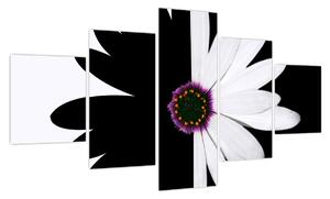 Obraz czarno - białego kwiatu (125x70 cm)