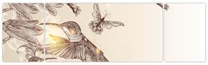 Obraz - Kolibry (170x50 cm)