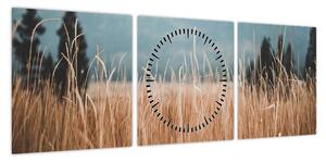 Obraz - szczegół łąki (z zegarem) (90x30 cm)