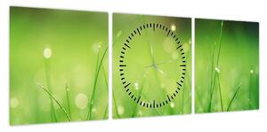 Obraz - rosa na trawie (z zegarem) (90x30 cm)