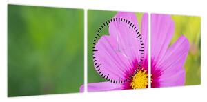 Obraz - polny kwiat (z zegarem) (90x30 cm)