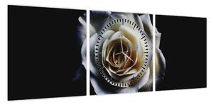 Obraz białej róży (z zegarem) (90x30 cm)