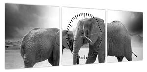 Obraz - czarno - białe słonie (z zegarem) (90x30 cm)