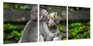 Obraz - małpki (z zegarem) (90x30 cm)