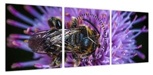 Obraz pszczoły na kwiatku (z zegarem) (90x30 cm)