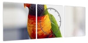 Obraz papugi (z zegarem) (90x30 cm)