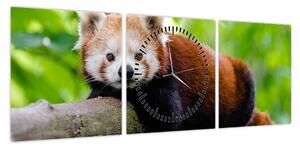 Obraz pandy czerwonej (z zegarem) (90x30 cm)