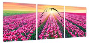 Obraz pole tulipanów ze słońcem (z zegarem) (90x30 cm)