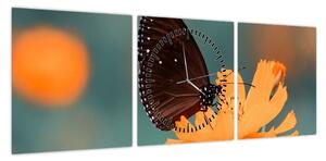 Obraz - motyl na pomarańczowym kwiatku (z zegarem) (90x30 cm)
