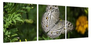 Obraz - biały motyl (z zegarem) (90x30 cm)