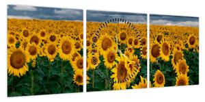 Obraz pola słoneczników (z zegarem) (90x30 cm)