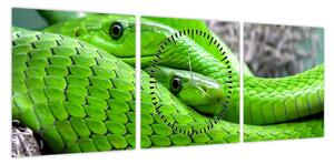 Obraz zielonych węży (z zegarem) (90x30 cm)