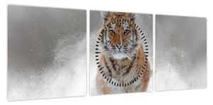 Obraz tygrysa biegnącego po śniegu (z zegarem) (90x30 cm)