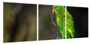 Obraz papugi na gałęzi (z zegarem) (90x30 cm)