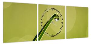 Obraz kropli wody na trawie (z zegarem) (90x30 cm)