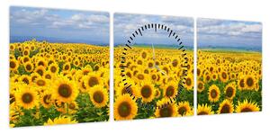 Obraz pola słoneczników (z zegarem) (90x30 cm)