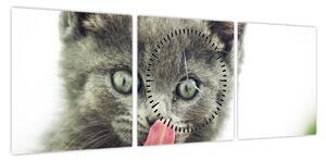 Obraz oblizującego się kotka (z zegarem) (90x30 cm)