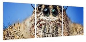 Obraz szczegółu pająka (z zegarem) (90x30 cm)