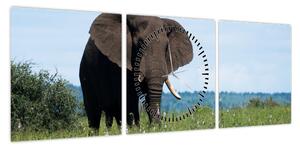 Obraz słonia (z zegarem) (90x30 cm)