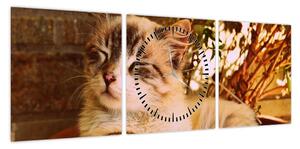 Obraz kota w doniczce (z zegarem) (90x30 cm)