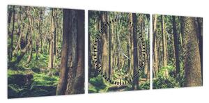 Obraz ścieżki pomiędzy drzewami (z zegarem) (90x30 cm)