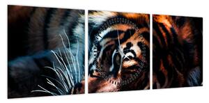 Obraz leżącego tygrysa (z zegarem) (90x30 cm)