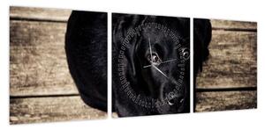 Obraz czarnego szczeniaka (z zegarem) (90x30 cm)