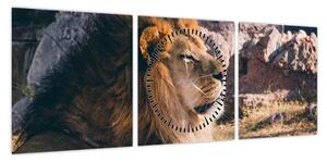Obraz leżącego lwa (z zegarem) (90x30 cm)