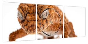 Obraz jaszczurki (z zegarem) (90x30 cm)