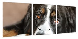 Obraz psa (z zegarem) (90x30 cm)