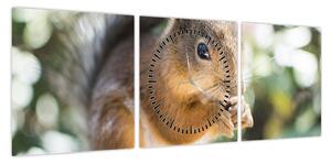 Obraz wiewiórki (z zegarem) (90x30 cm)